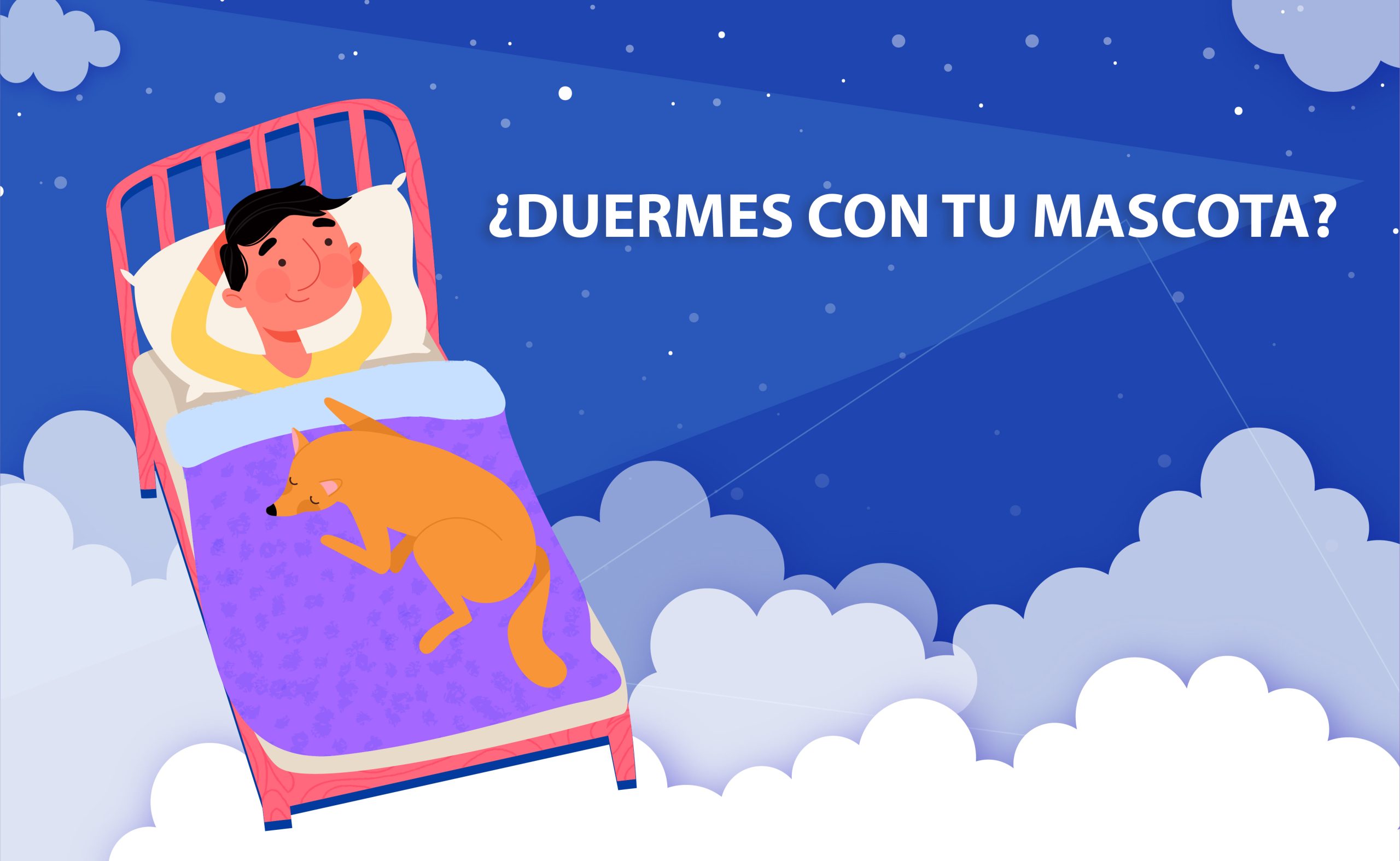 Lo que la ciencia nos dice sobre dormir con nuestra mascota.